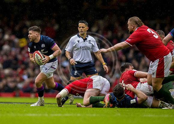Wales v Scotland