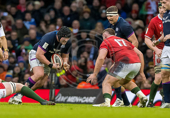 Wales v Scotland