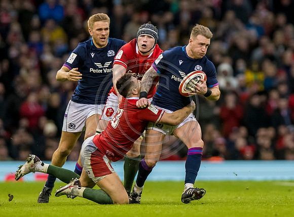 Wales v Scotland