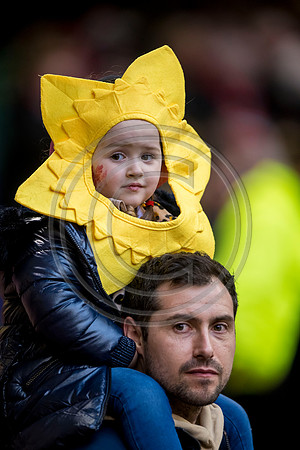 Wales v Scotland