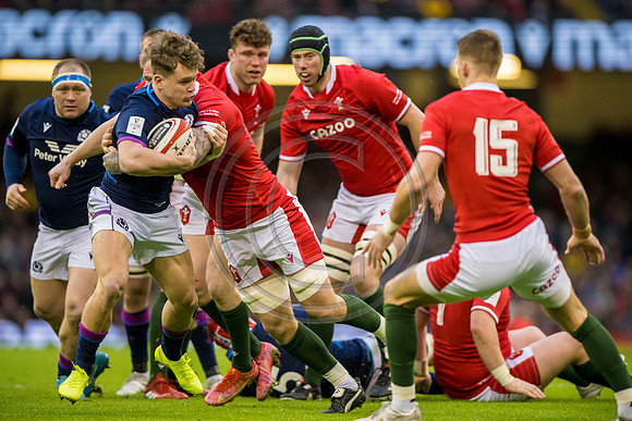 Wales v Scotland