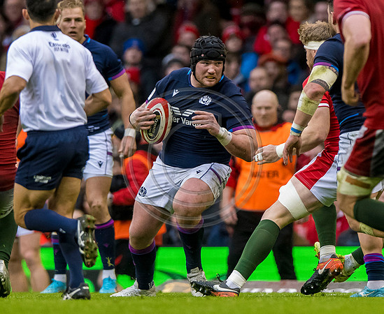 Wales v Scotland
