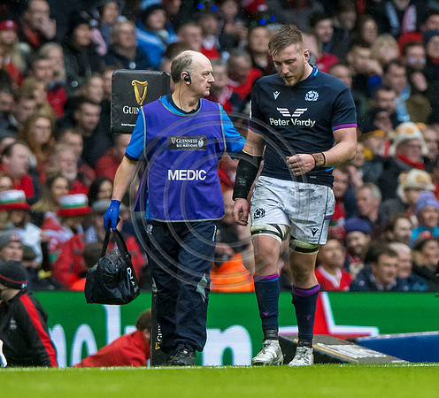 Wales v Scotland
