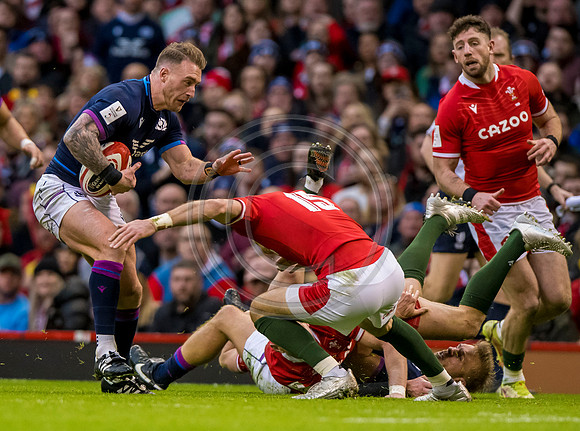 Wales v Scotland