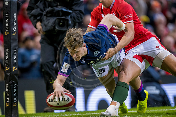 Wales v Scotland