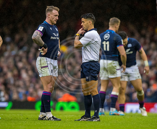Wales v Scotland