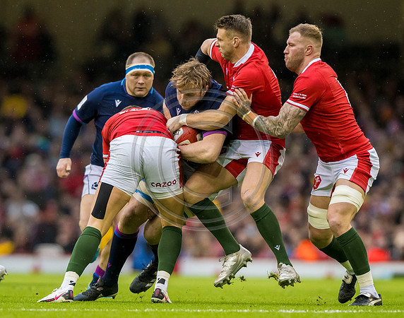 Wales v Scotland