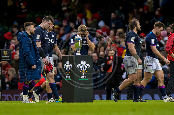 Wales v Scotland