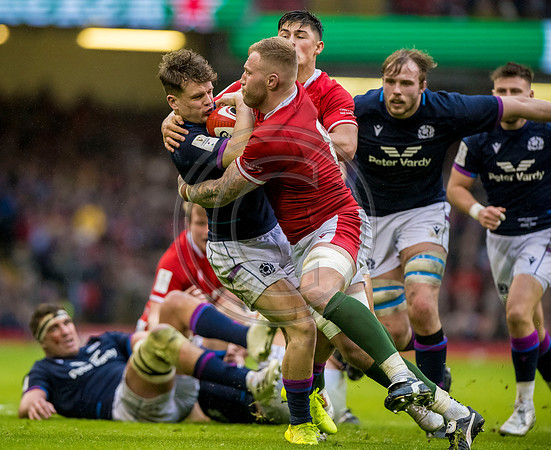Wales v Scotland