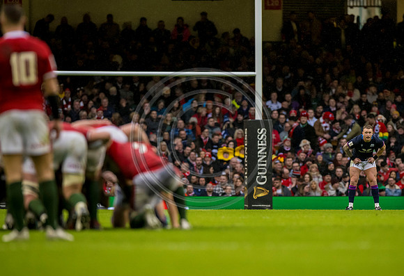 Wales v Scotland
