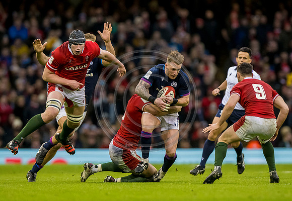 Wales v Scotland