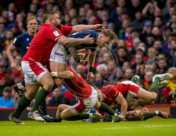 Wales v Scotland