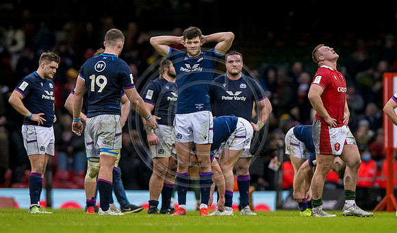 Wales v Scotland