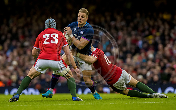 Wales v Scotland
