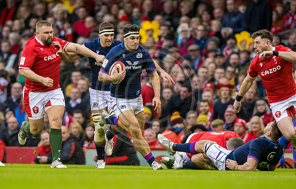 Wales v Scotland