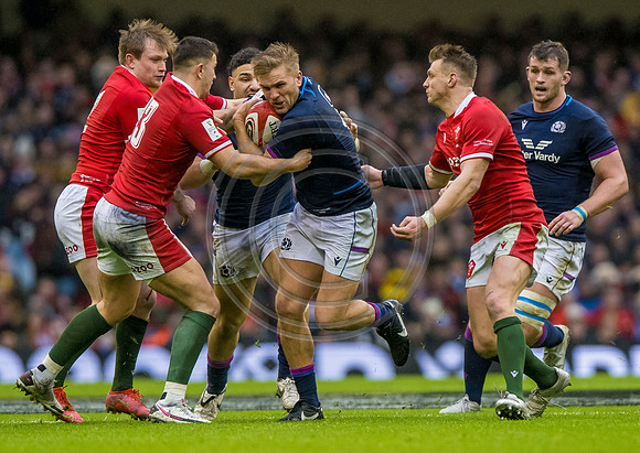 Wales v Scotland