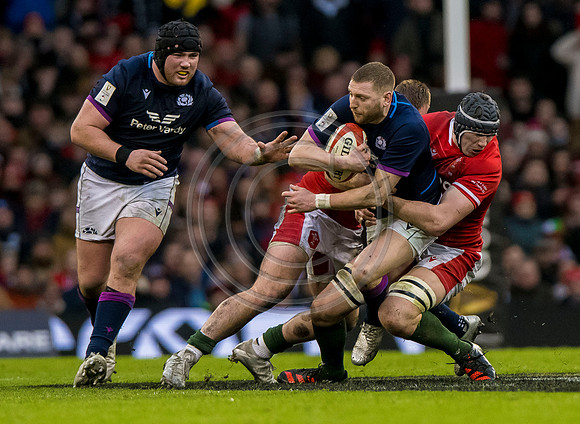 Wales v Scotland