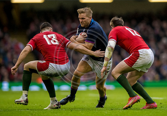 Wales v Scotland