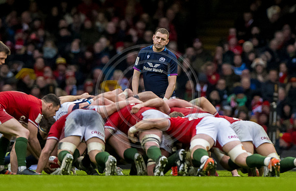 Wales v Scotland