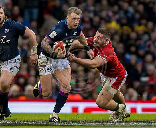Wales v Scotland