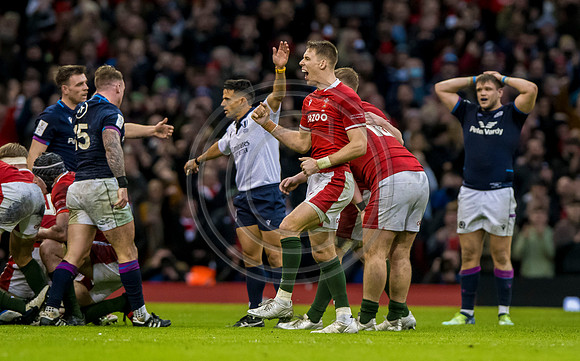 Wales v Scotland