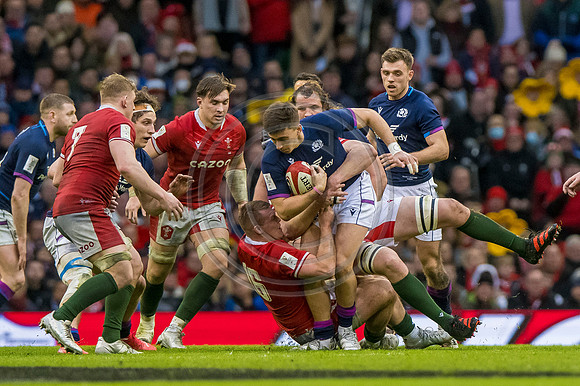 Wales v Scotland