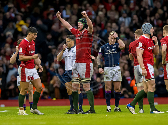 Wales v Scotland