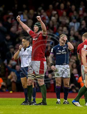 Wales v Scotland