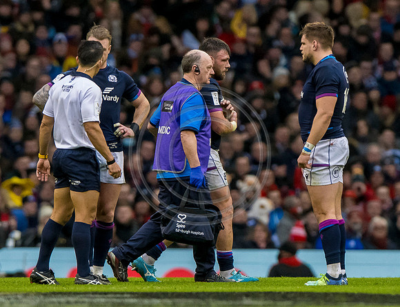 Wales v Scotland