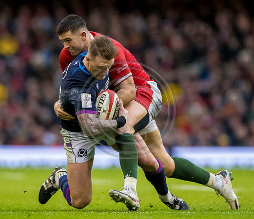 Wales v Scotland