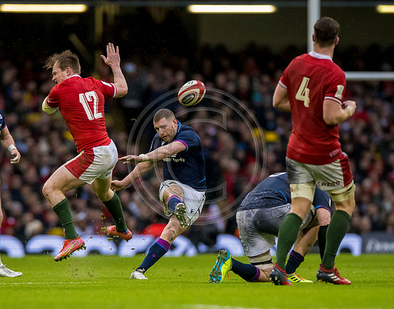 Wales v Scotland