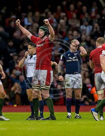 Wales v Scotland