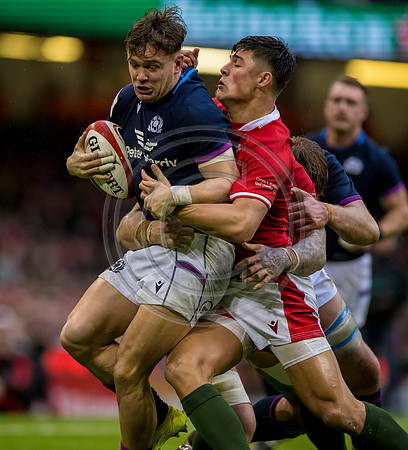 Wales v Scotland