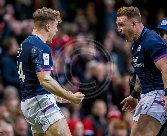 Wales v Scotland