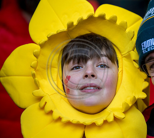 Wales v Scotland
