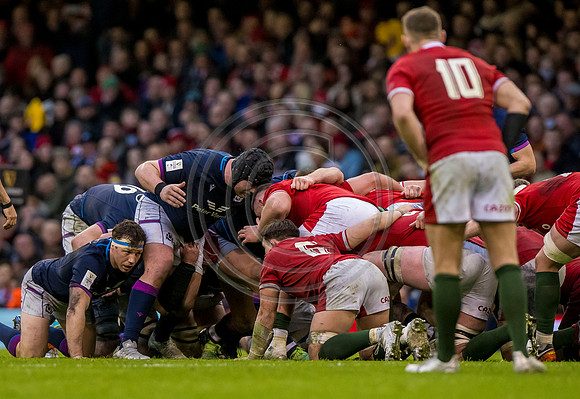 Wales v Scotland