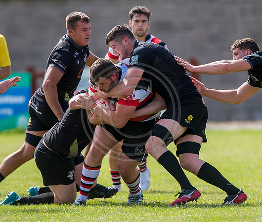 Stirling County v Southern Knights