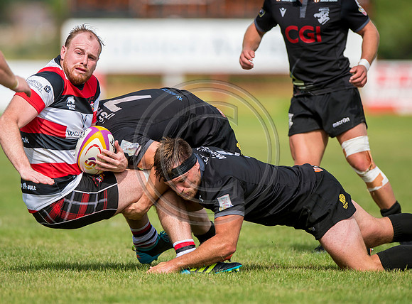 Stirling County v Southern Knights