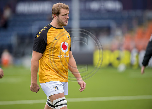 Edinburgh Rugby v Wasps