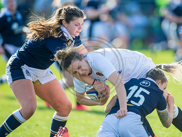 England Women v Scotland Women