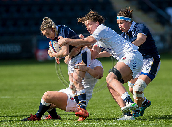 England Women v Scotland Women