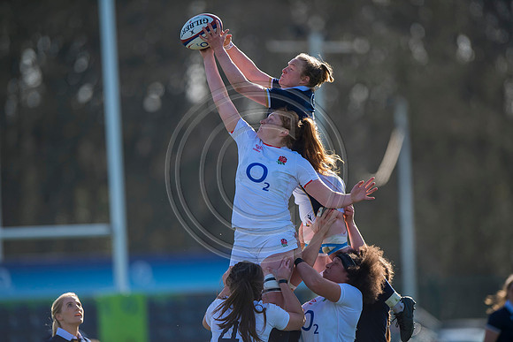 England Women v Scotland Women