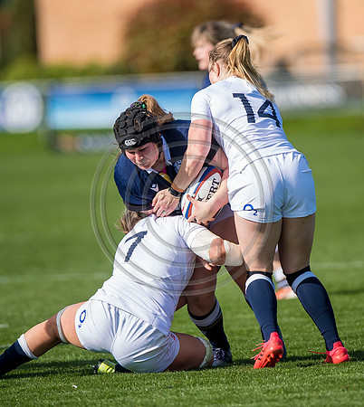 England Women v Scotland Women