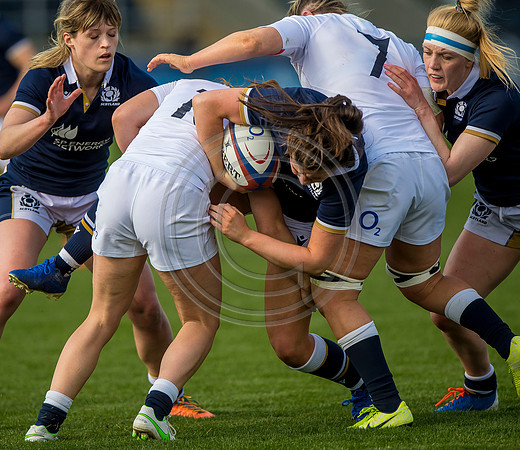 England Women v Scotland Women