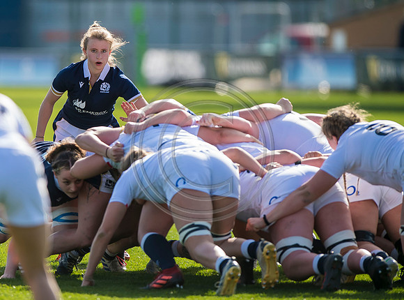 England Women v Scotland Women