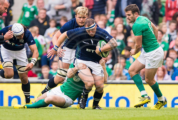Ireland v Scotland