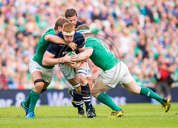 Ireland v Scotland