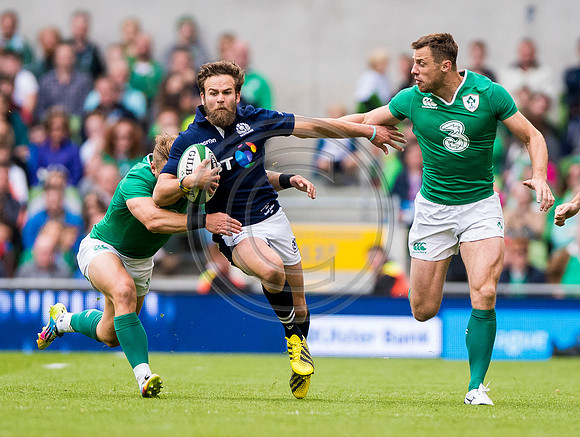 Ireland v Scotland