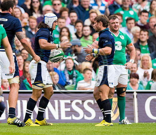 Ireland v Scotland