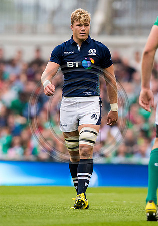 Ireland v Scotland